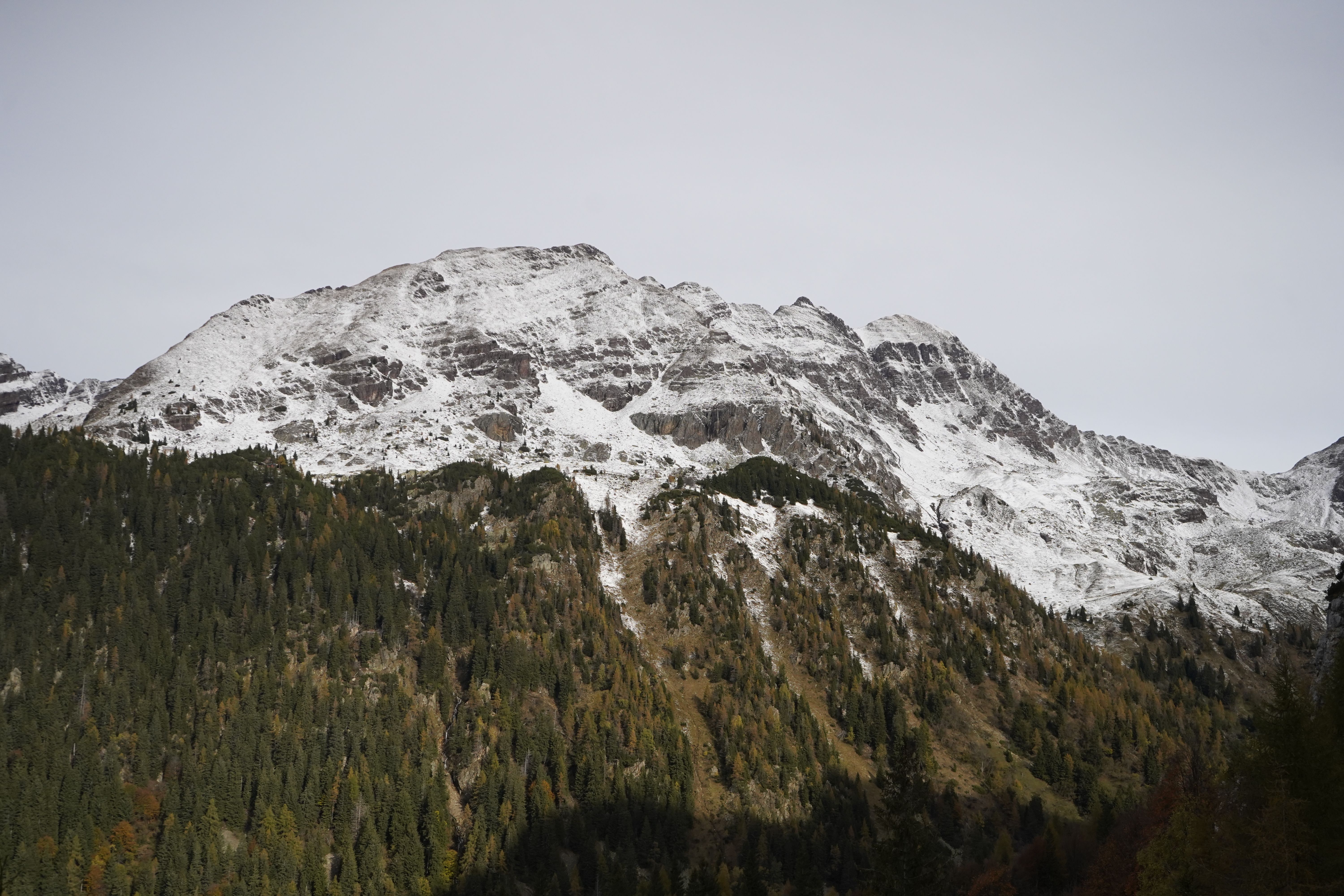 Großer Beerberg i Schneekopf