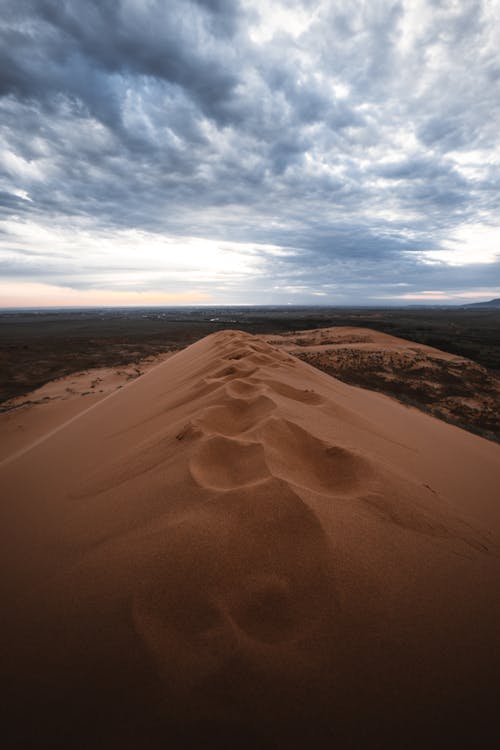 Foto d'estoc gratuïta de desert, duna, gran angular