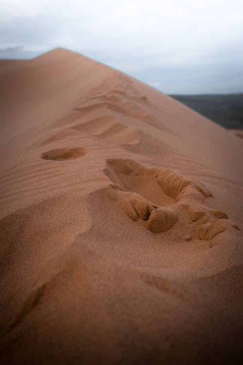 Free Footprints on Sand on Desert Stock Photo