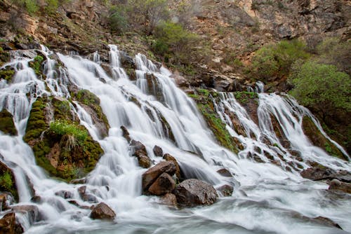 Cascade in Forest