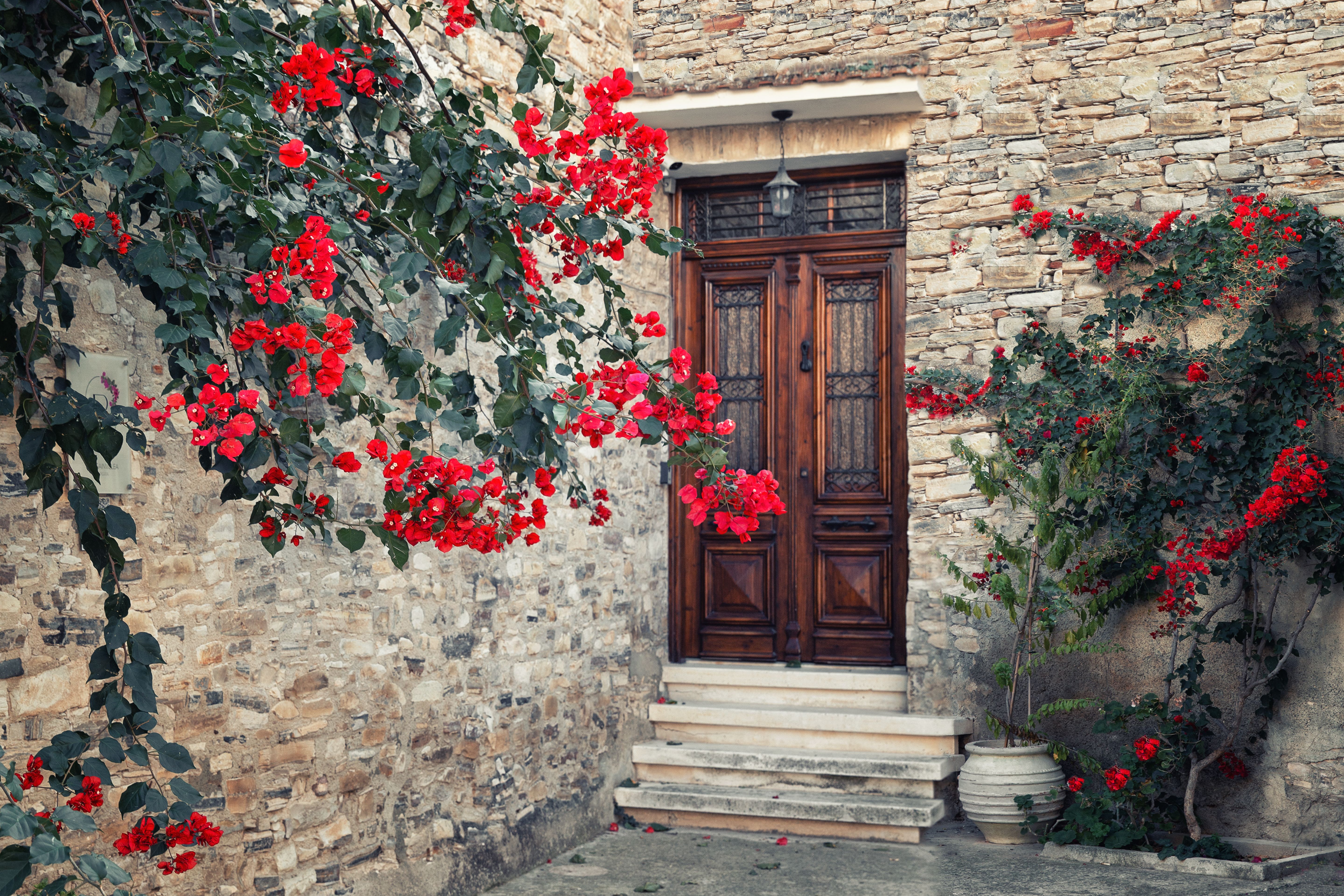 Flowers and Ivy by Door to Vintage, Stone Building · Free Stock Photo