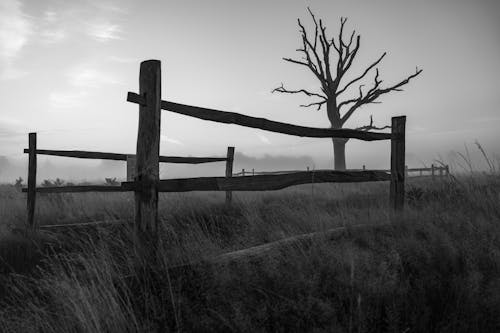 Wooden Fence on a Field in Black and White 
