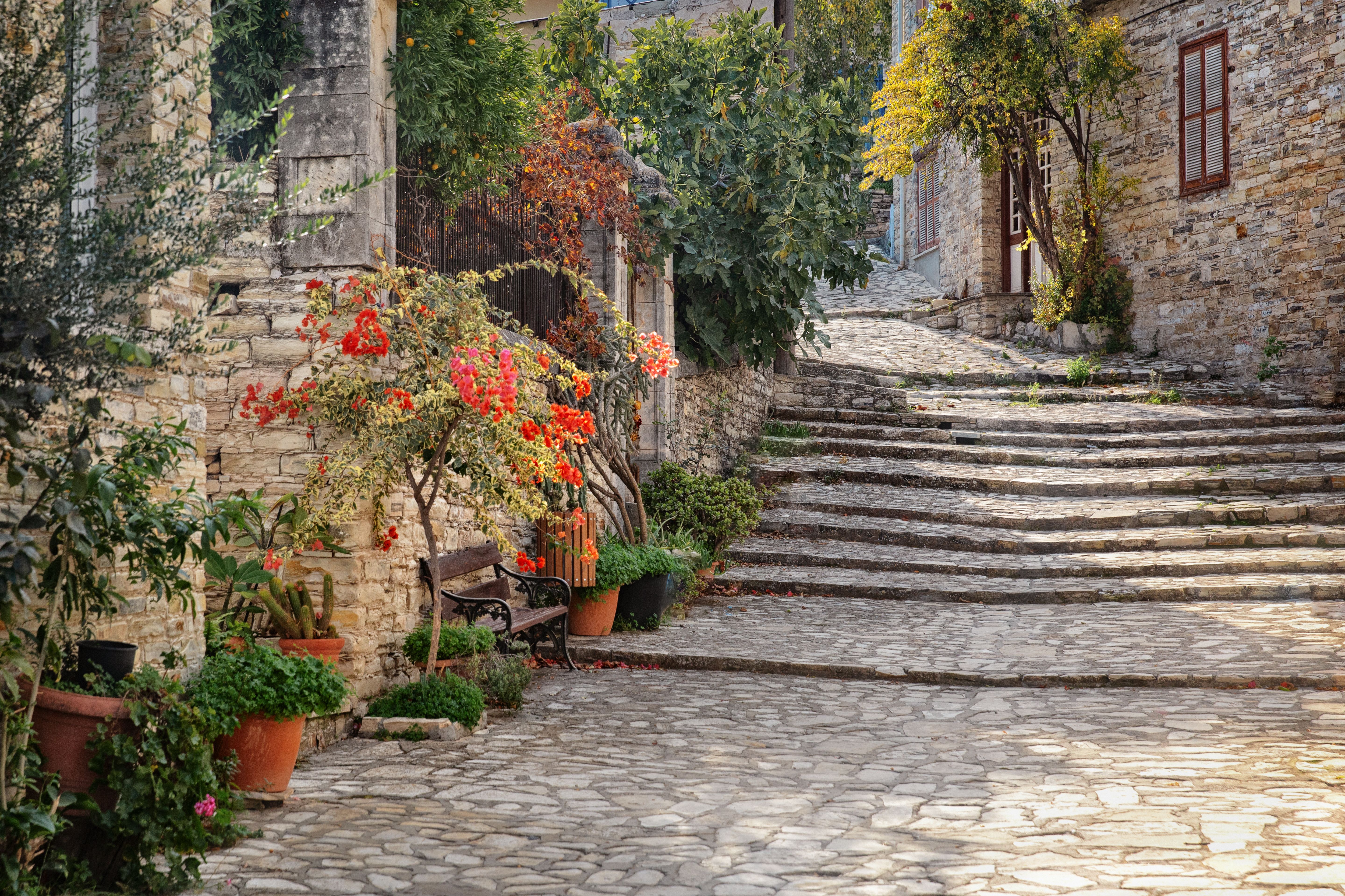 Escadaria de pedra em jardim em socalcos