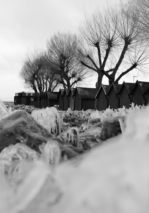 Wooden Huts in Winter