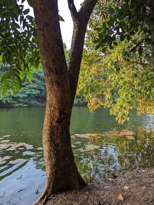 Fotobanka s bezplatnými fotkami na tému dynamické farby, dynamické pozadia, dynamický