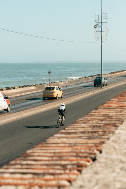 Cyclist enjoys a ride along a scenic, oceanfront road under a clear sky.