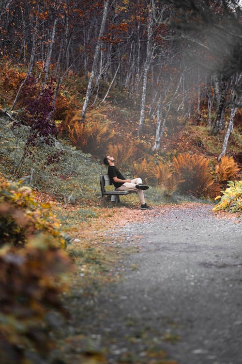 Man Sitting on Bench in Park in Autumn