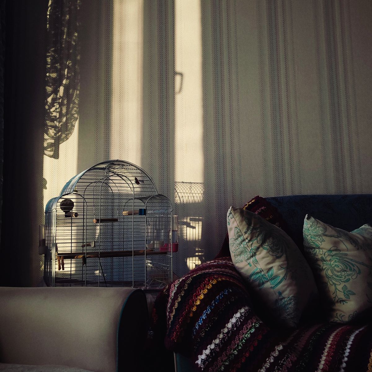 Cushions and a throw on a sofa beside a window