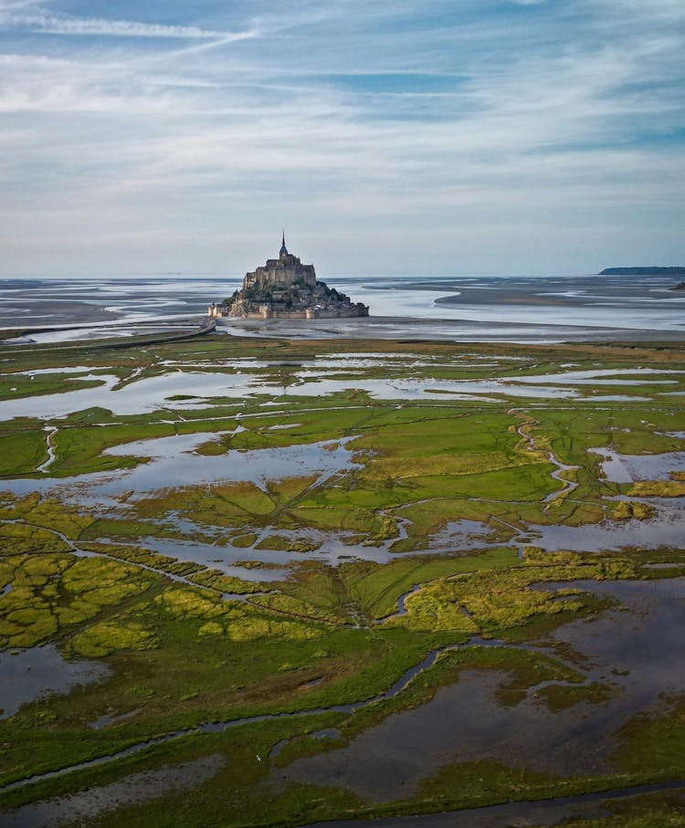 Castle Among Swamps 