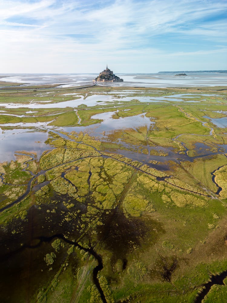 Swamps In A Valley