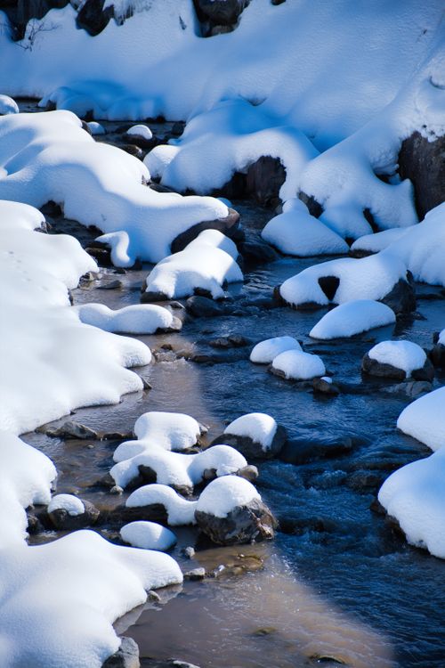 Frozen Stream in Winter · Free Stock Photo