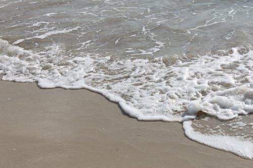 Immagine gratuita di acqua, bagnasciuga, estate