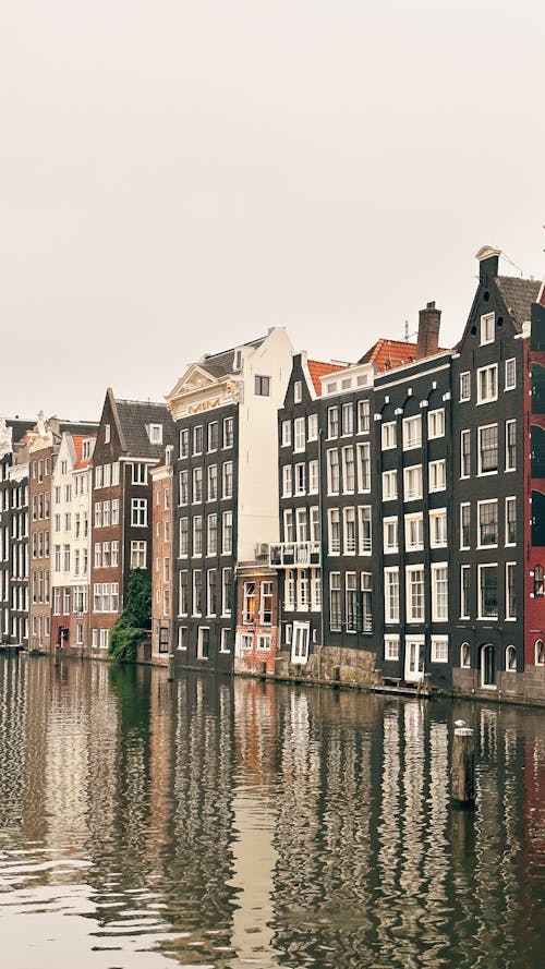 Gratis lagerfoto af Amsterdam, bolig, boligblokke