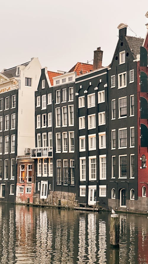 Houses by Canal in Amsterdam, Netherlands