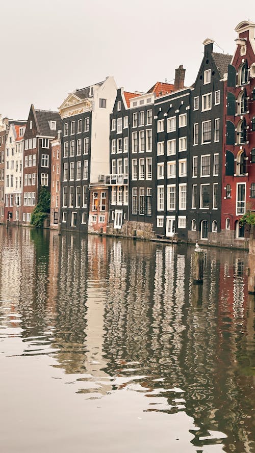 Kostnadsfri bild av amsterdam, Europa, flod