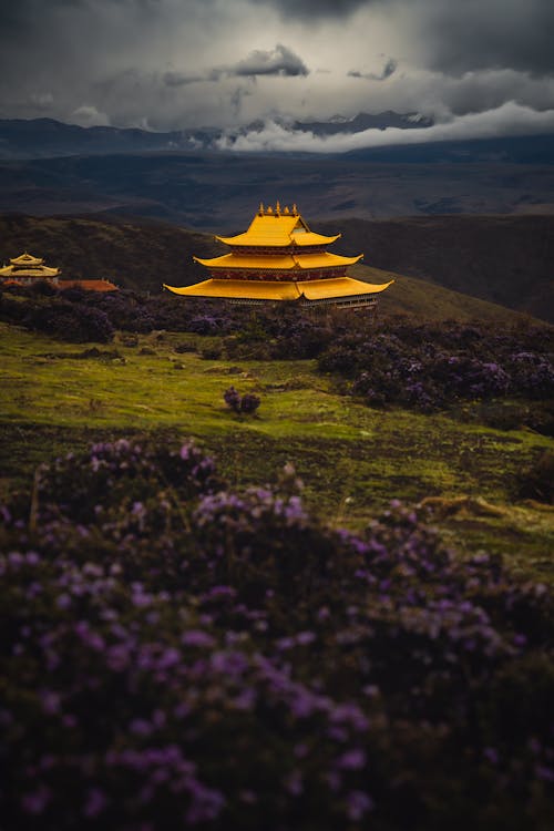 Buddhist Monastery on Hillside