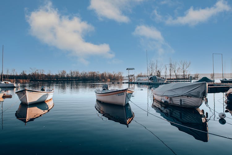 Boats In Calm Marina