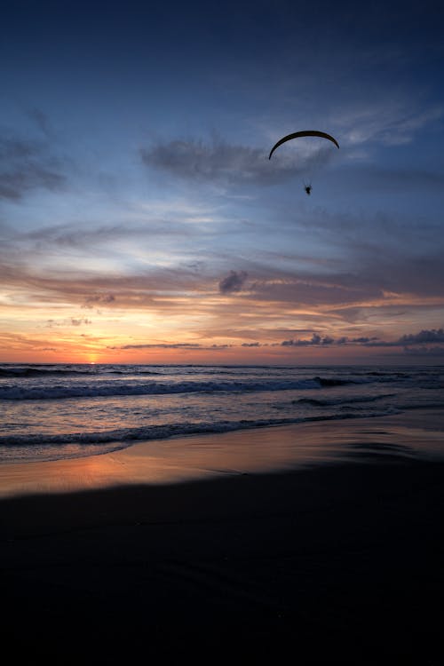 Person on Paraglide Flying over Ocean Shore