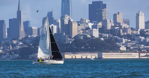 A Sailboat in the Bay on the Background of Skyscrapers in San Francisco, California, USA