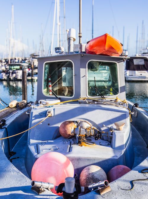 Free A vibrant scene of a fishing boat docked at a marina, surrounded by other boats and yachts. Stock Photo
