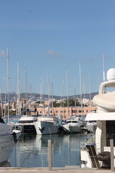 A serene view of luxurious yachts moored at a marina against an urban backdrop.