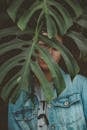 Man Wearing Blue Denim Jacket