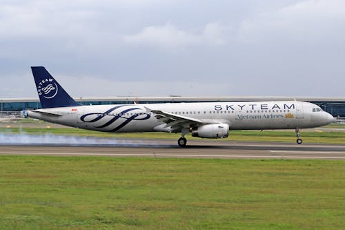 エアバスa320, ジェット, フライトの無料の写真素材