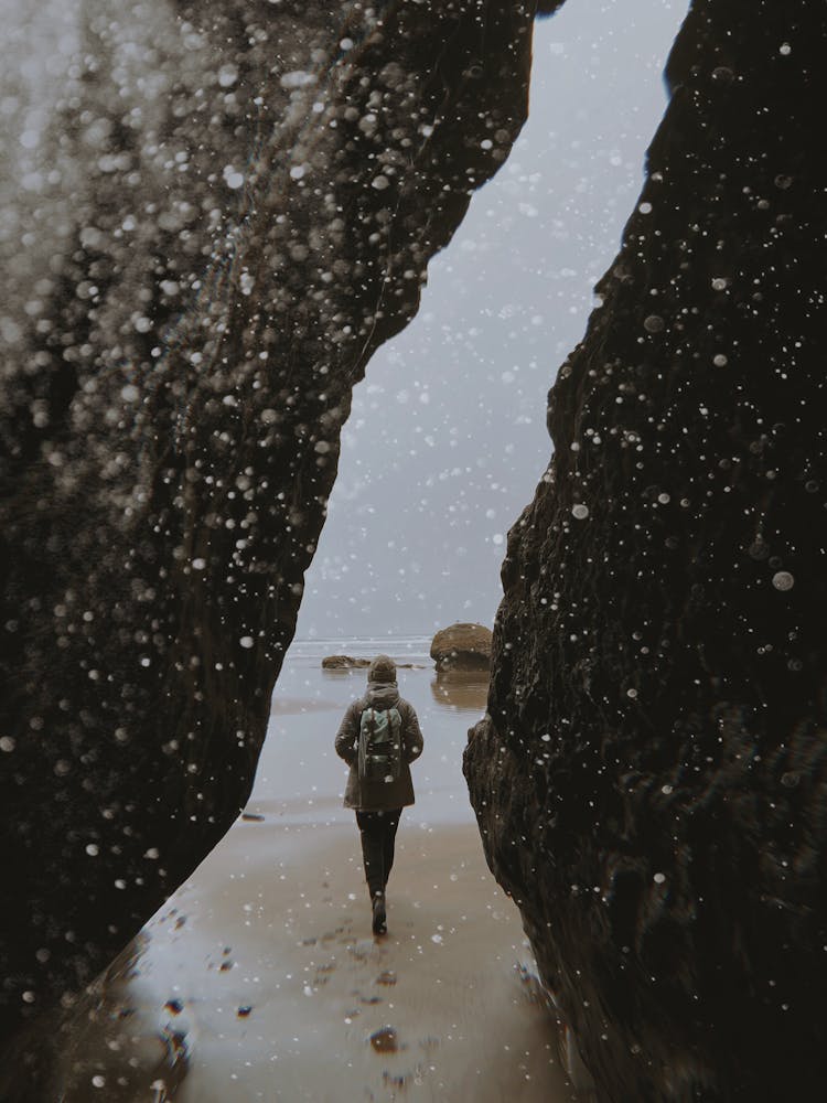 Back View Of A Person Walking Alone At The Beach