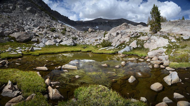 River In Rocky Mountains In Summer