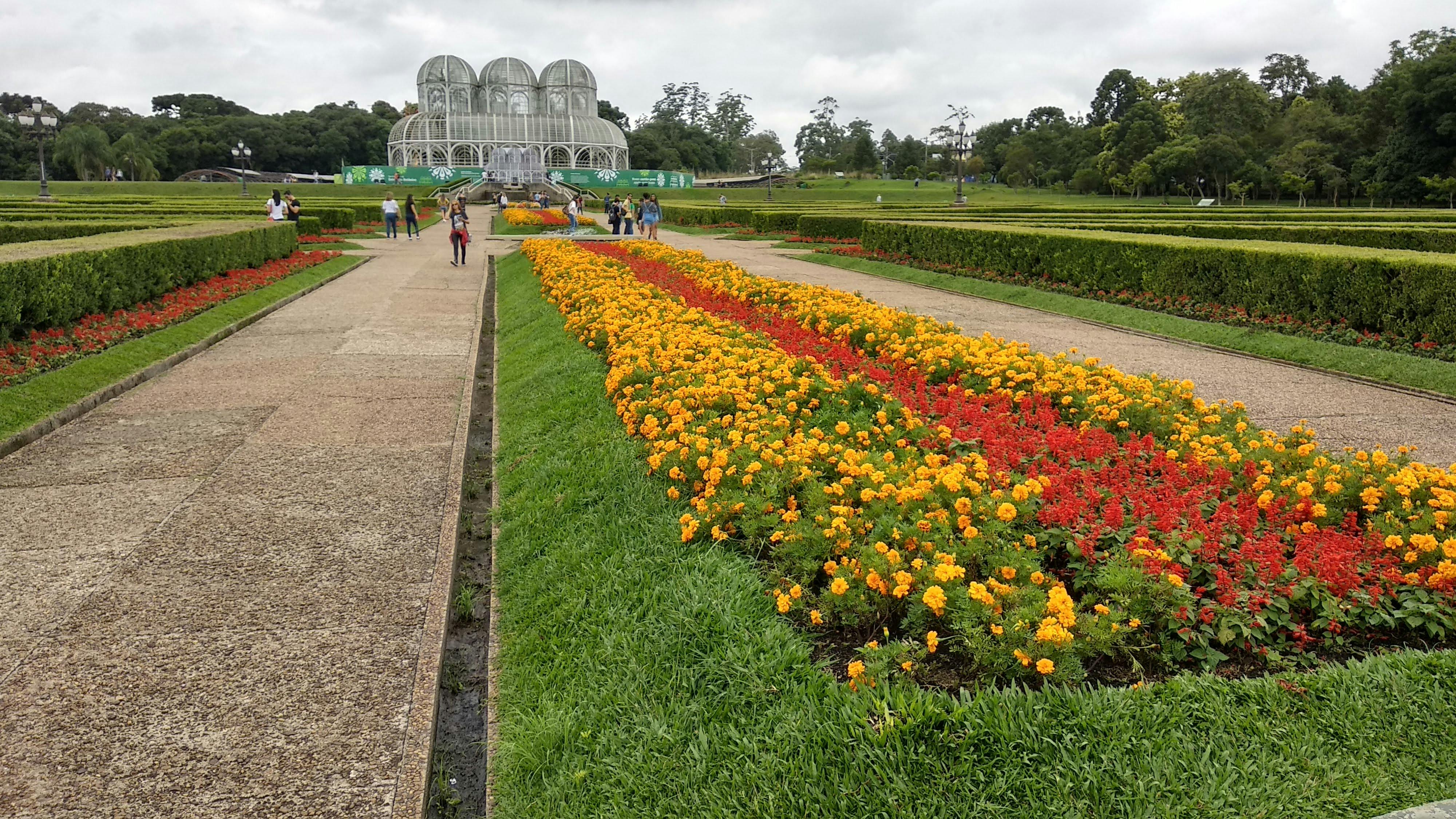 Free stock photo of beautiful flower, botanical garden, city park