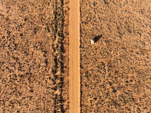 Dirt Road Through the Desert