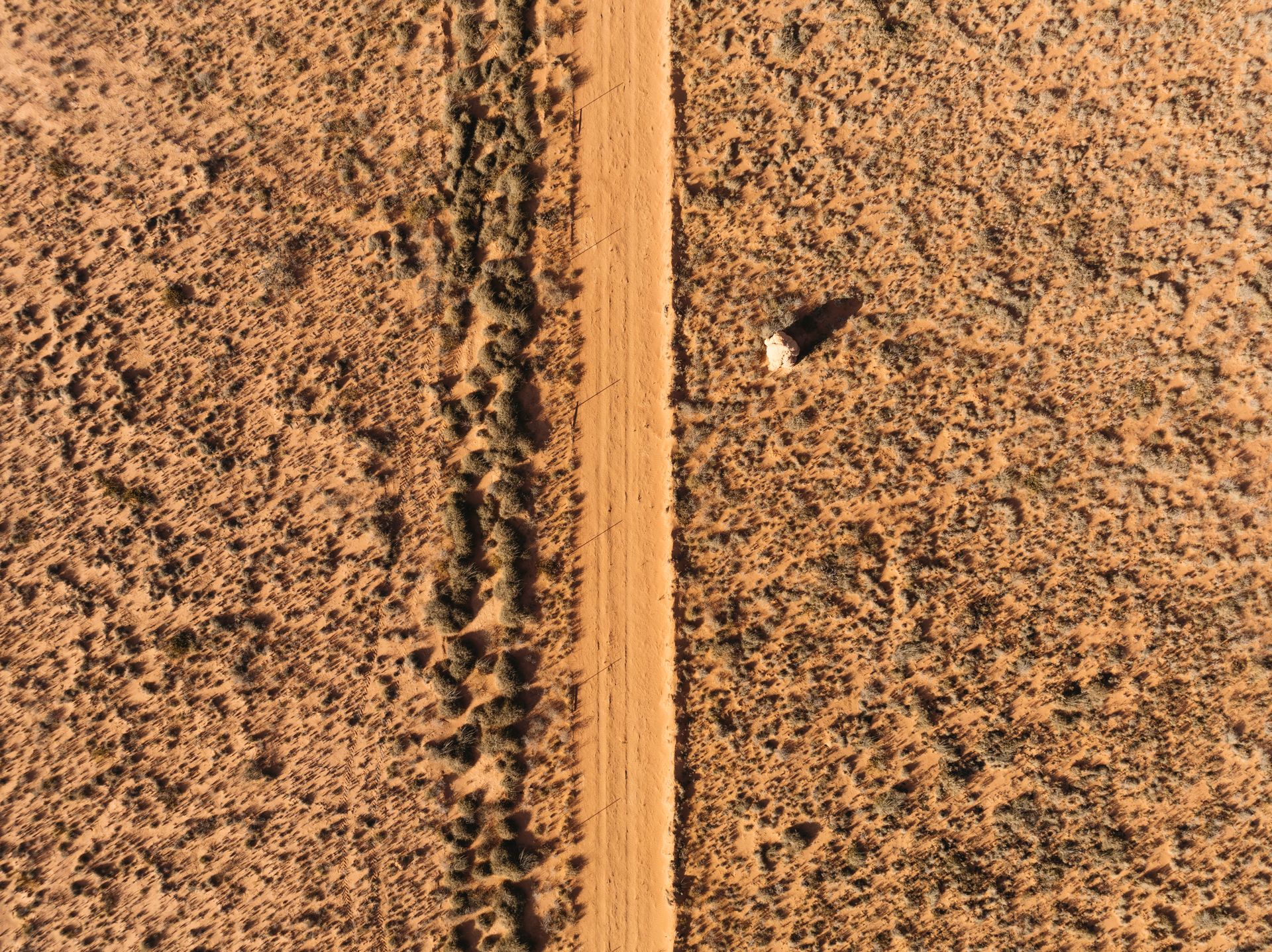 Dirt Road Through the Desert
