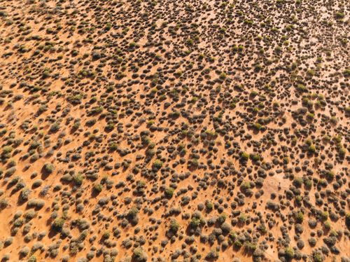 Free Expansive aerial view of a desert landscape in Australia with scattered shrubs, captured from high above. Stock Photo