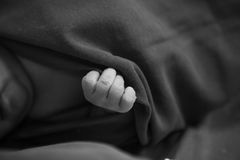 Close-up of a newborn baby's hand wrapped in a soft blanket, black and white tones.