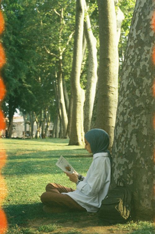 Free A woman in a hijab sitting against a tree reading a book in a serene park setting. Stock Photo