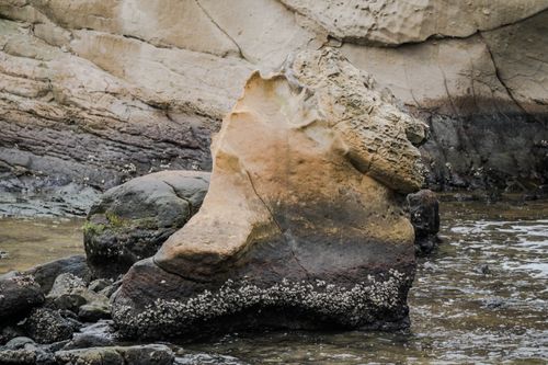 Free Natural rock formation eroded by sea water displaying unique textures. Stock Photo