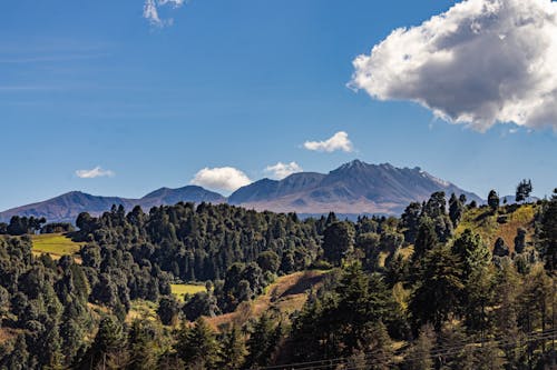  Forest-covered Hill with a Mountain Range in the Background