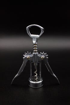 Aprenda a como abrir um vinho com saca rolhas! - imagem 5