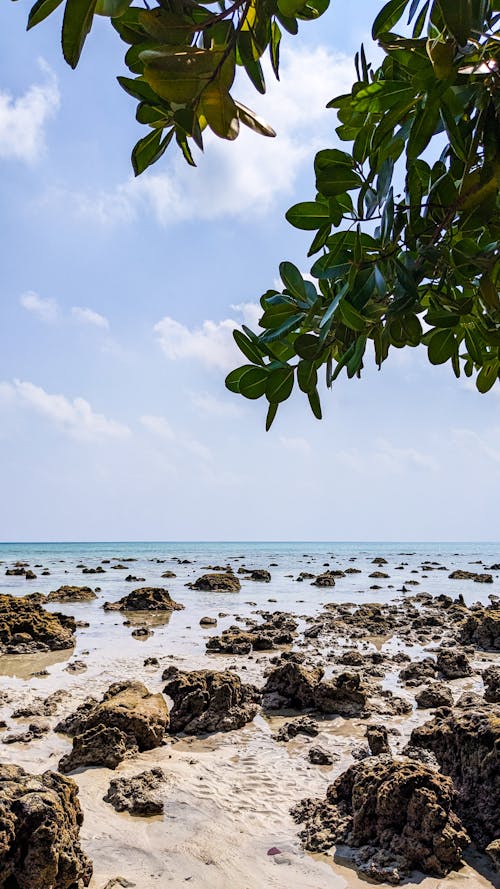 Rocks on a Scenic Beach 