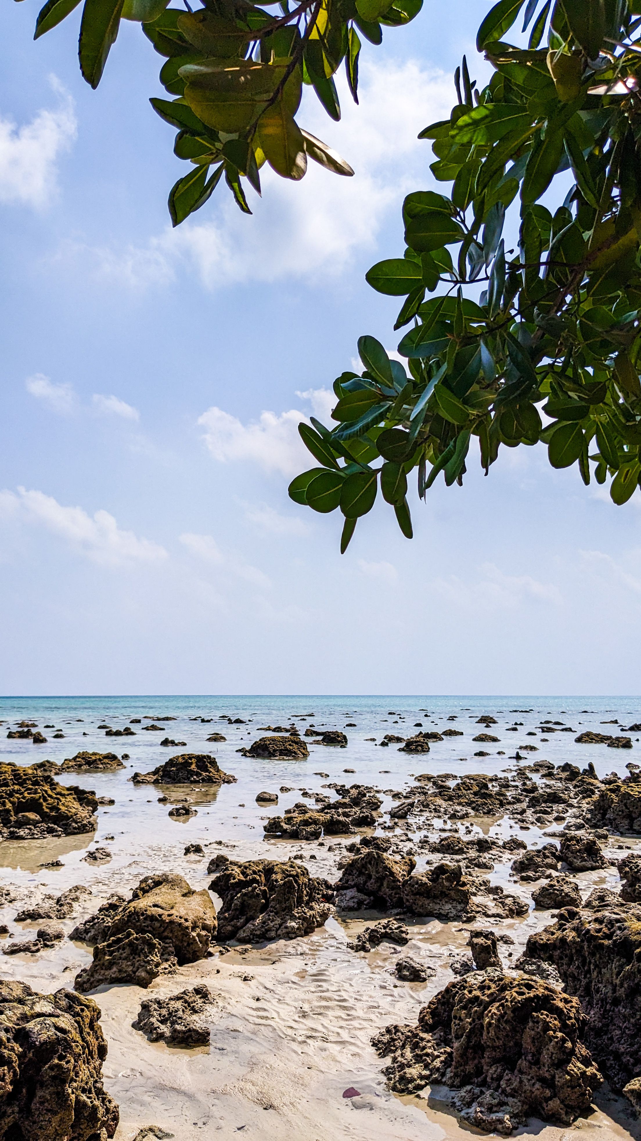 Rocks on a Scenic Beach · Free Stock Photo