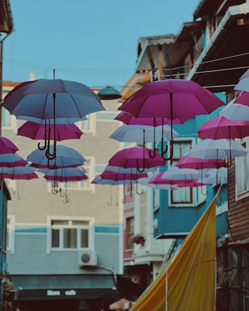 Colorful Umbrellas Hanging over a Street in a City 
