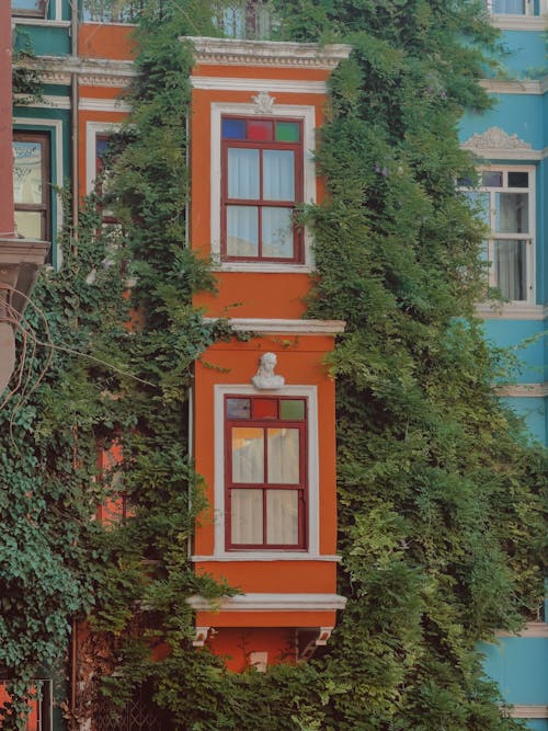 Foliage on Wall of Apartment Building