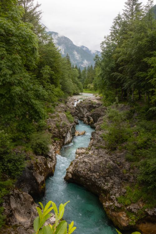 Free Explore a tranquil alpine river surrounded by lush forest and majestic mountains, perfect for nature lovers. Stock Photo