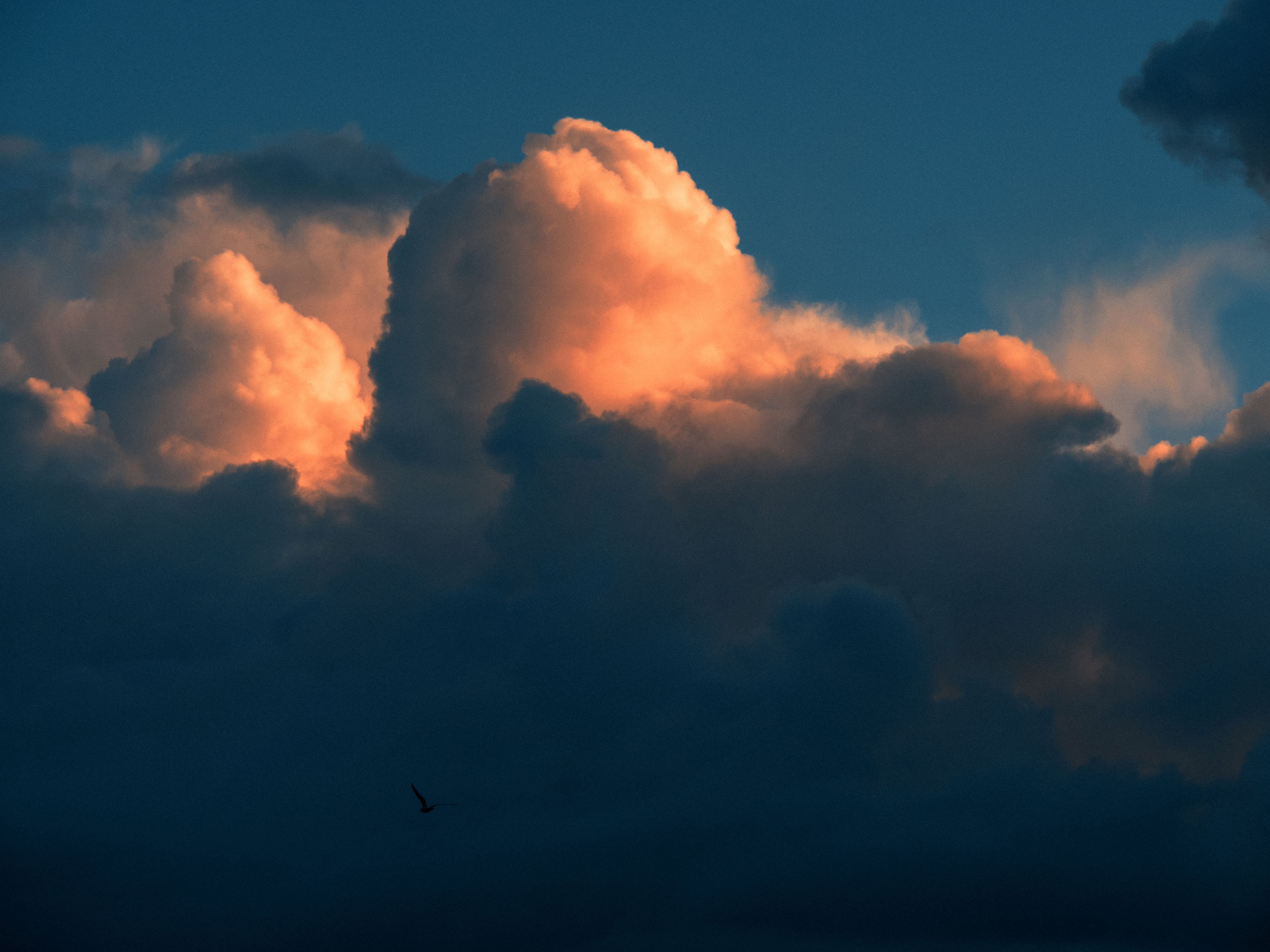 View of Dark and Pink Clouds at Sunset · Free Stock Photo
