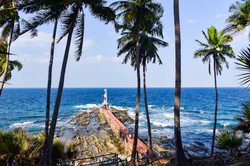 View of Waves Crashing on a Rocky Shore and Pier seen from behind Palm Trees