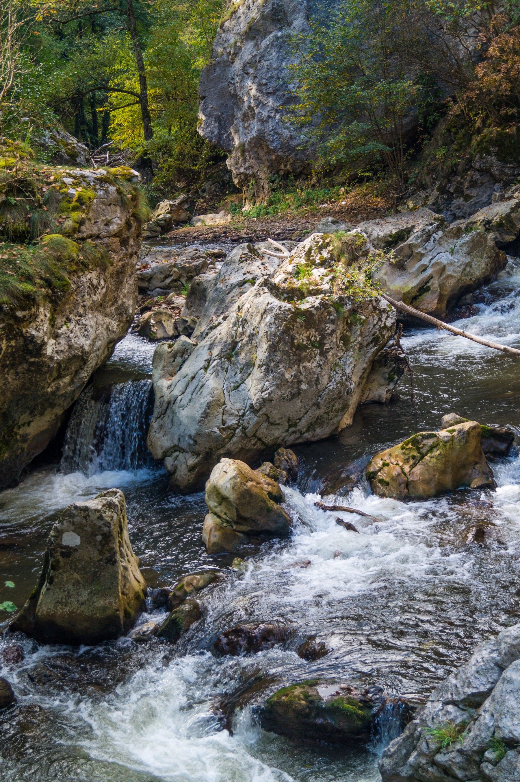 Park with Rocks in the River · Free Stock Photo
