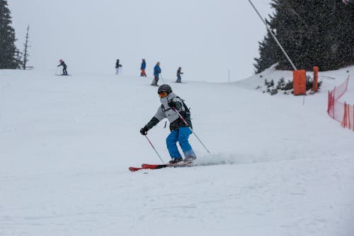 Photo of Skiers on a Slope