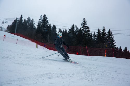 Man Skiing on a Slope, and Conifer Trees in Background