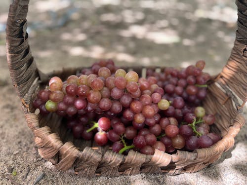 Бесплатное стоковое фото с виноград, еда, здоровый