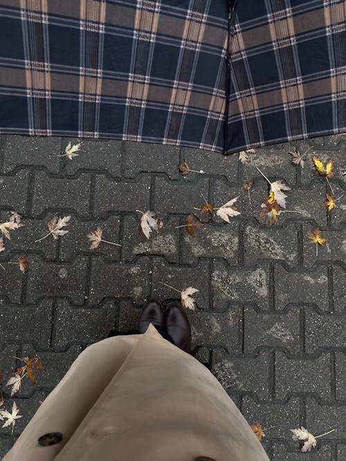 Person Standing by Fallen Leaves on Sidewalk